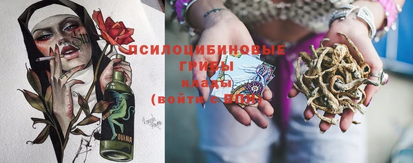 дживик Покров